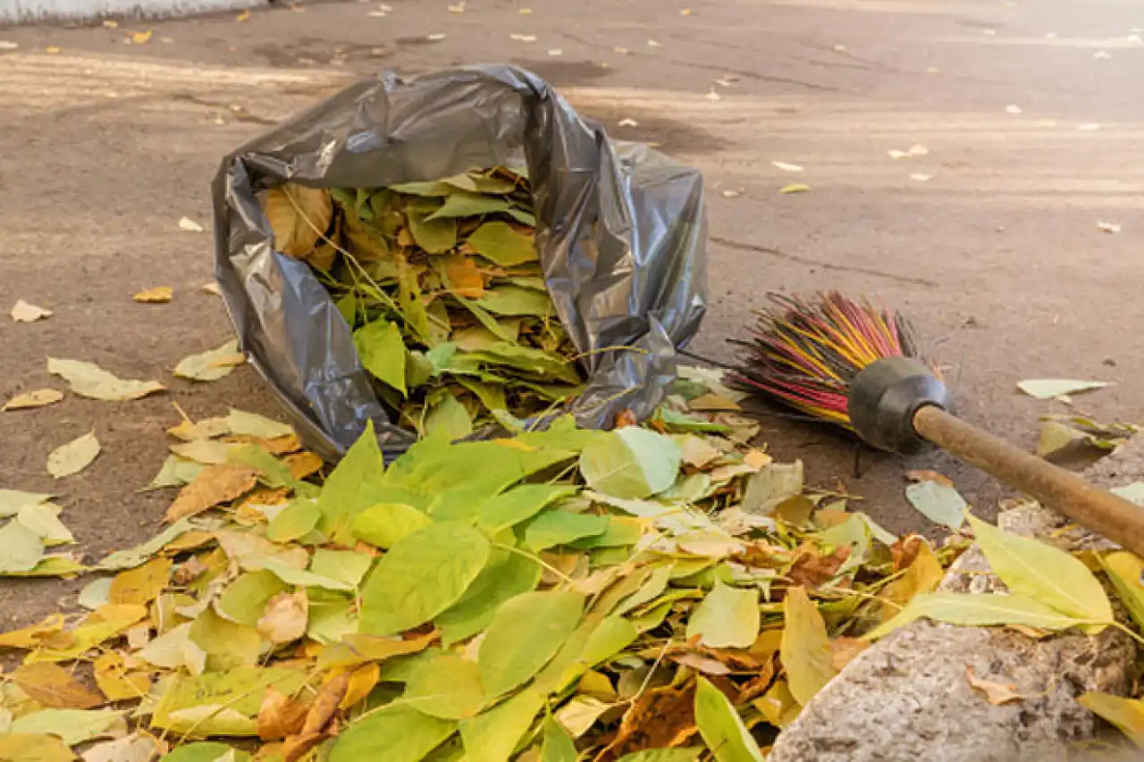 «World cleanup day»: жақында дүниежүзілік тазалық күні өтеді