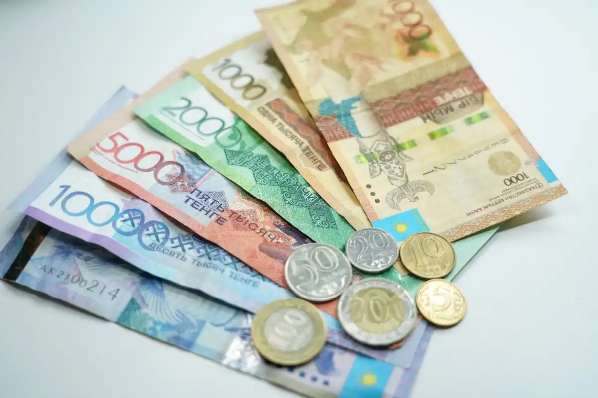 Мүгедектер мен асыраушысынан айырылғандарға 247 млрд теңге жәрдемақы төленді