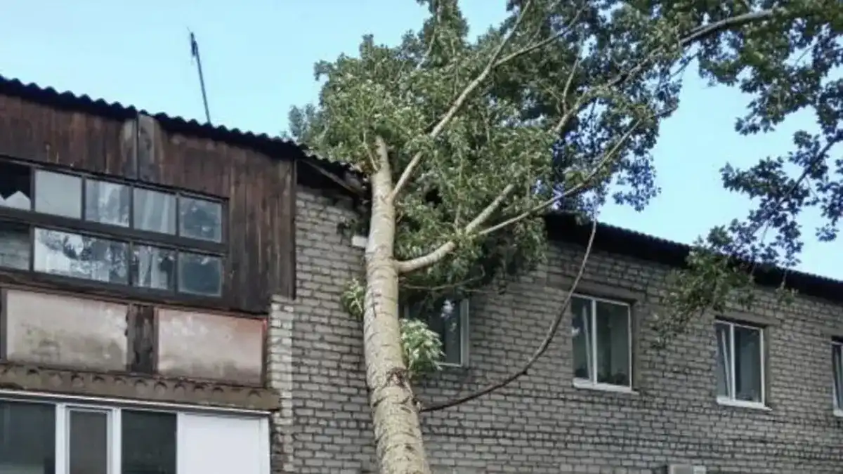 Павлодар облысында болған қатты дауыл салдарынан бір адам қайтыс болып
