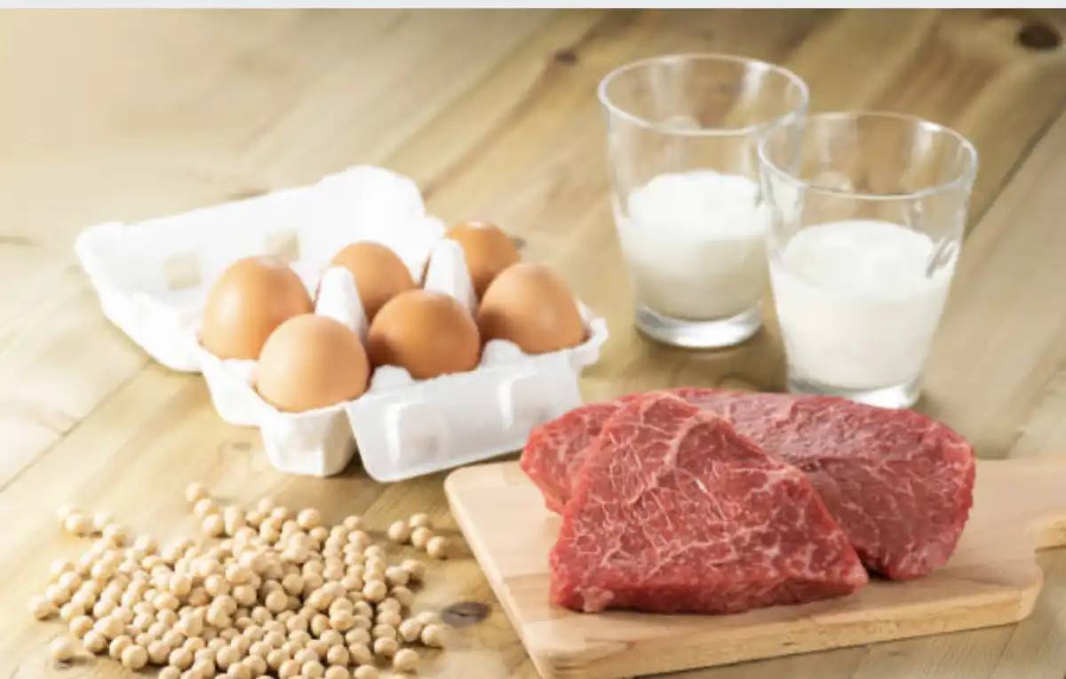 Елімізде ет, сүт және жұмыртқа өндірісі рекордтық деңгейге жетті