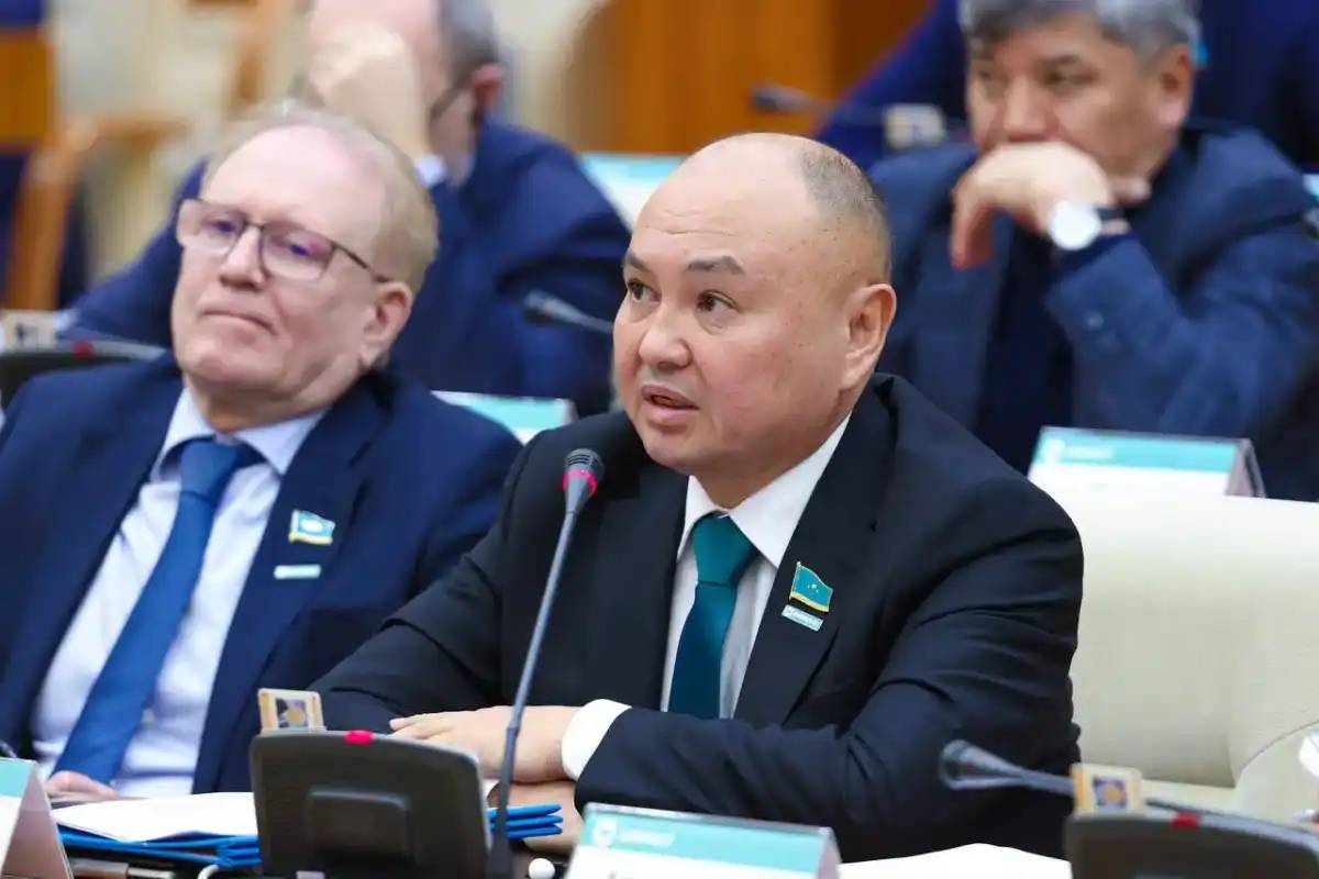 Бүгінде жеке инвестициялардың үлесі азайып отыр – Ерлан Саиров