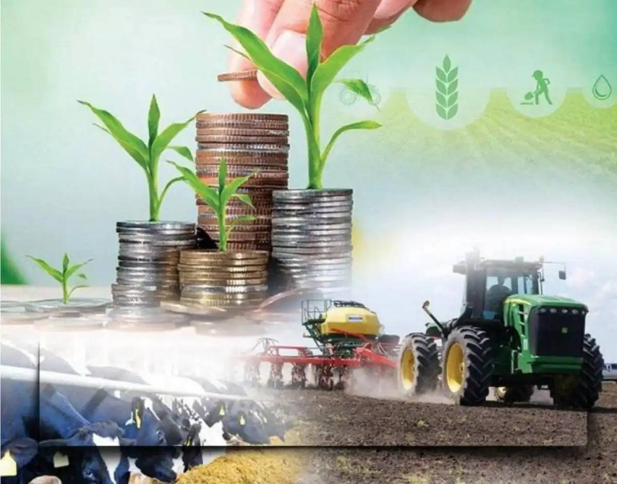 Елімізде ауыл шаруашылығы өнімінің көлемі 4%-ға өсті