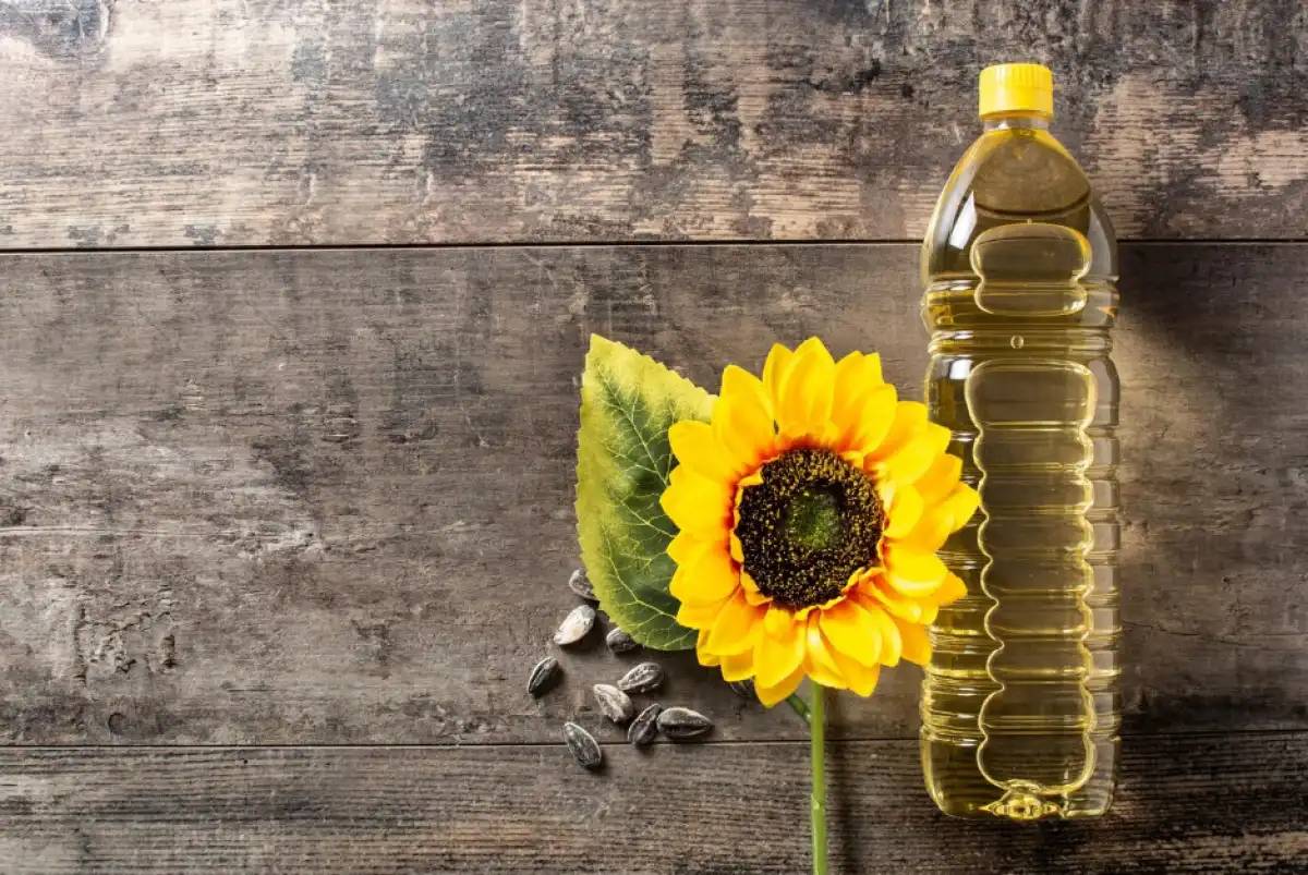 Еліміз алғаш рет күнбағыс майының үздік экспорттаушылары қатарына енді