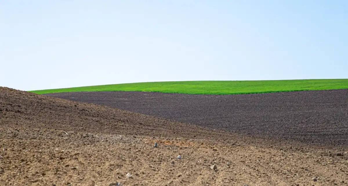 Мемлекет меншігіне 13,7 млн гектар жер қайтарылды