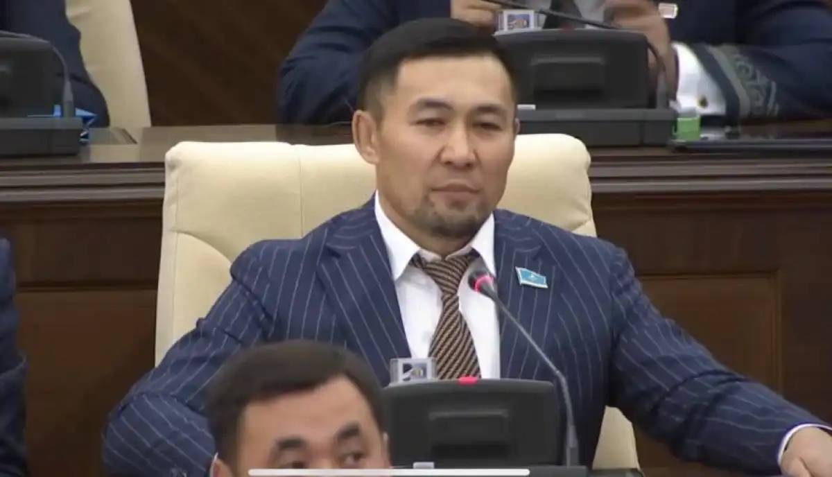 «Елде басқа мәселе жоқтай»: қазақстандық депутат анасын құттықтаймын деп, сынға қалды