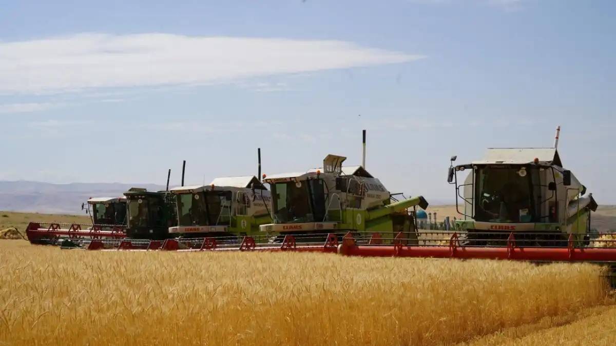 Қазақстанда 12,7 млн тонна астық бастырылды