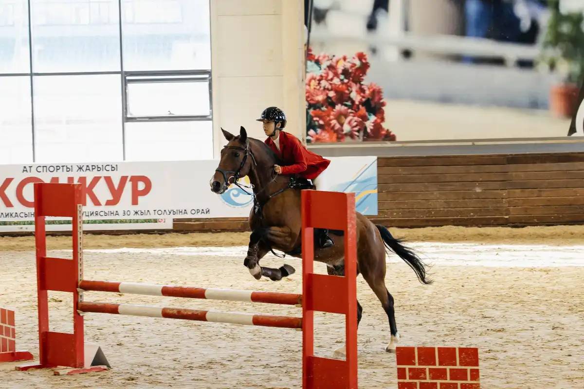 Астанада Конституцияның 30 жылдығына арналған ашық чемпионат өтіп жатыр