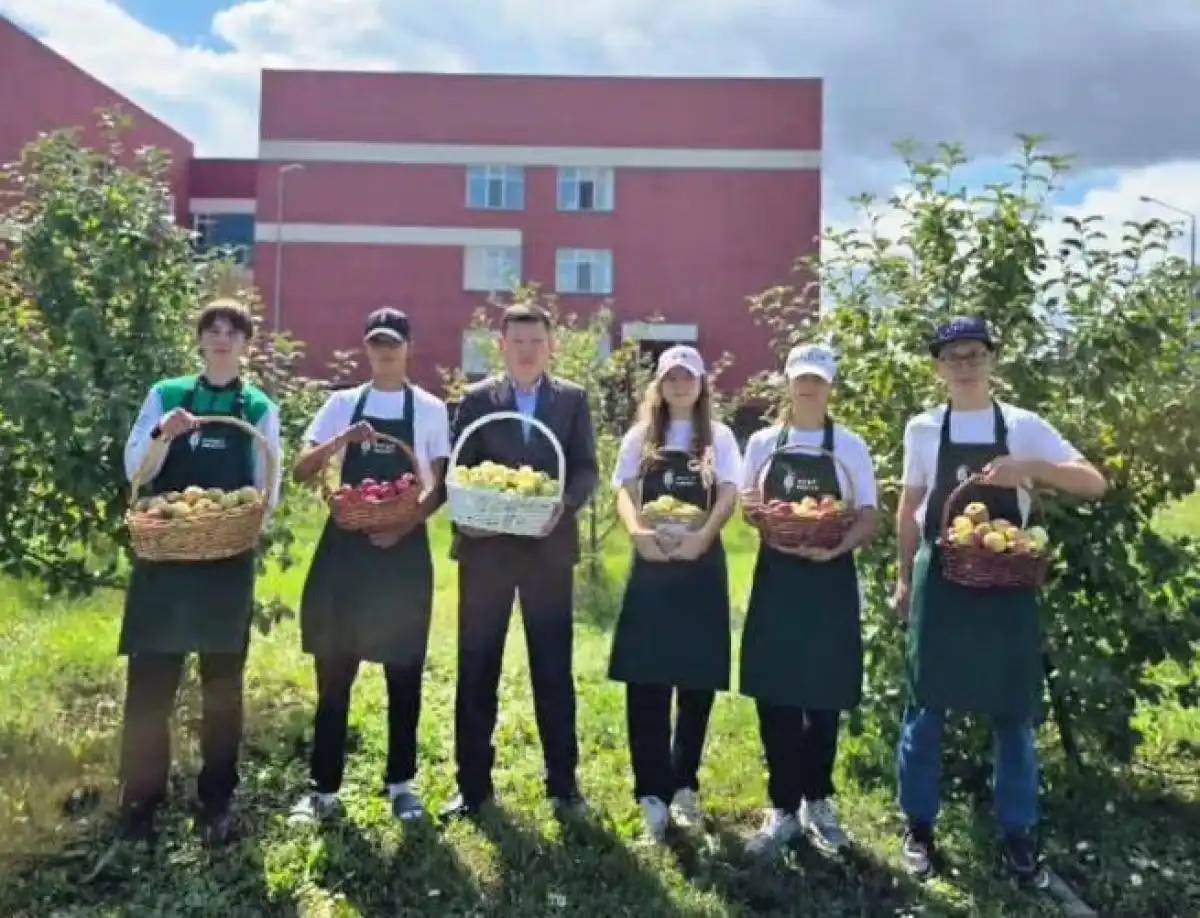 Елордалық оқушылар мектеп ауласындағы алма бағынан мол өнім жинады