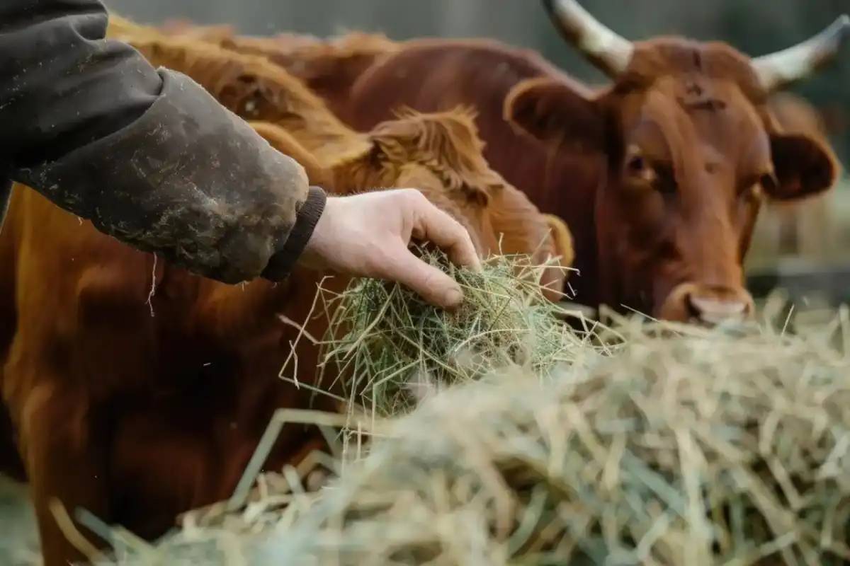 Мал ұрлығының алдын алу үшін не істеу керек