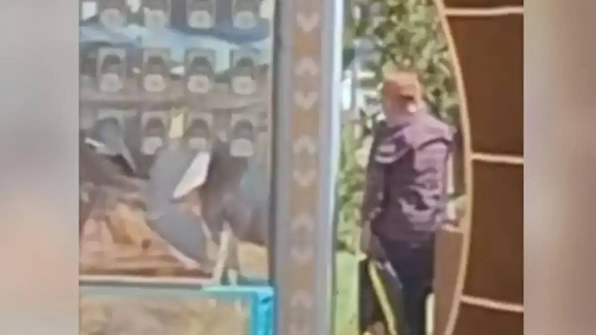 Астанада Абайдың нақыл сөздері жазылған стендті бүлдірген ер адам қамауға алынды