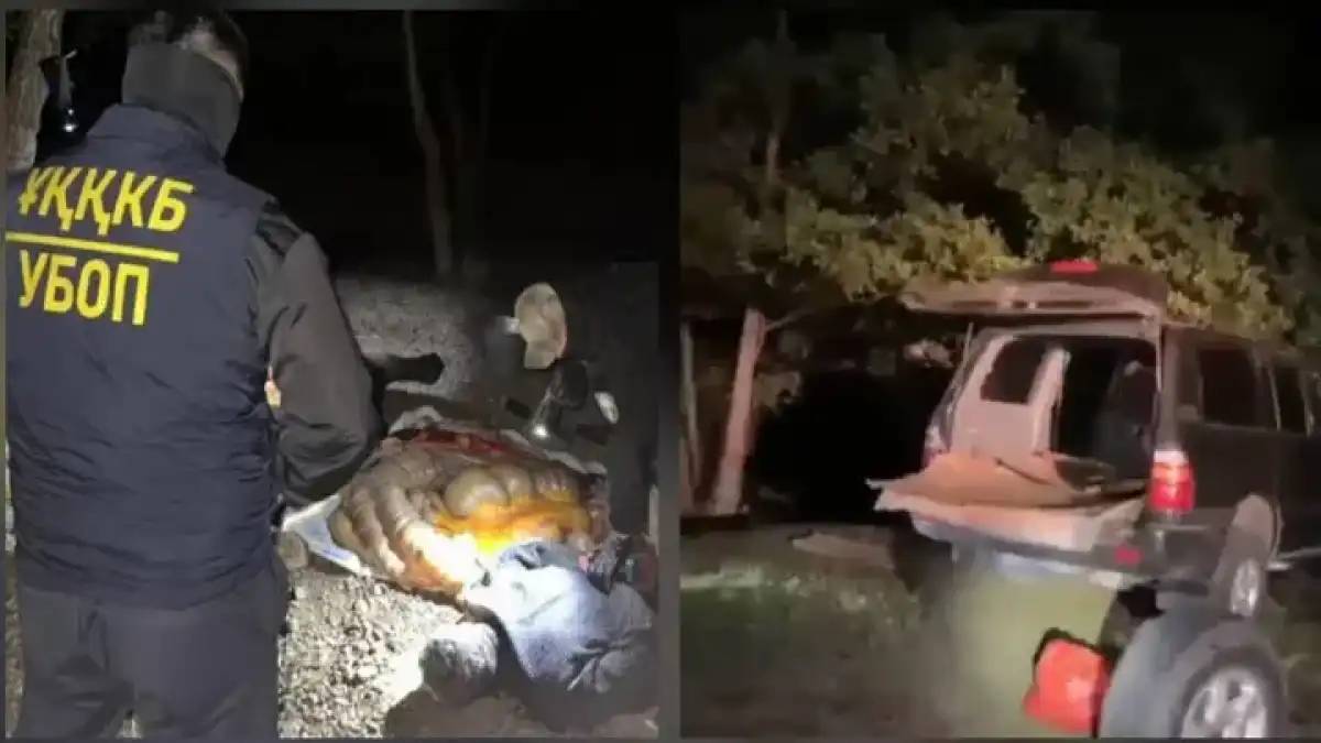 Ақтөбе облысында полицейлер мал ұрлығына күдіктілерді қылмыс үстінде ұстады