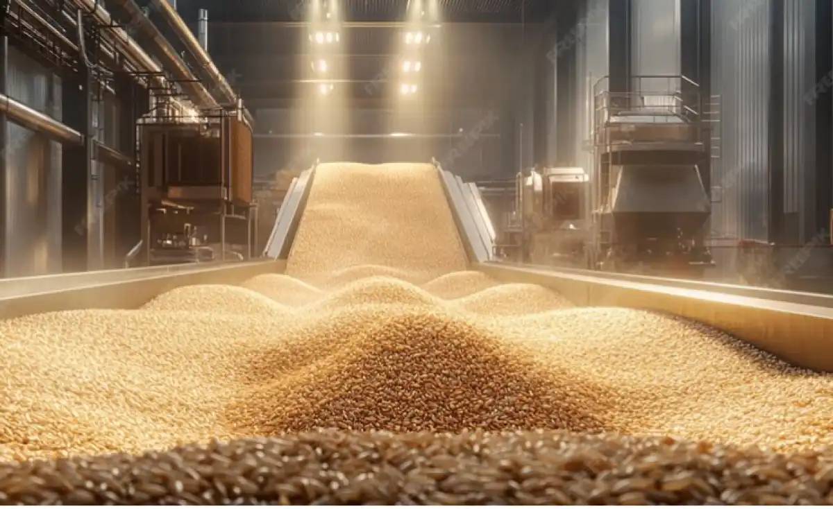 Қостанай облысында 34 астық қабылдау кәсіпорны мен қоймалары дайындалды