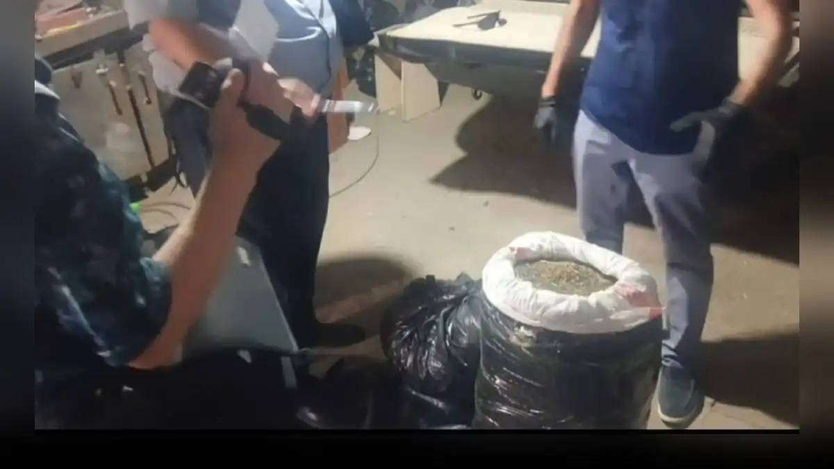 Ұлытау тұрғынынан 100 келіден астам марихуана тәркіленді