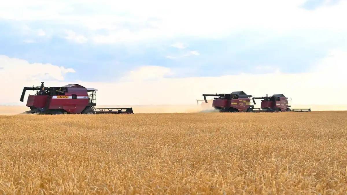 Елімізде 1,2 млн тонна астық бастырылды – АШМ