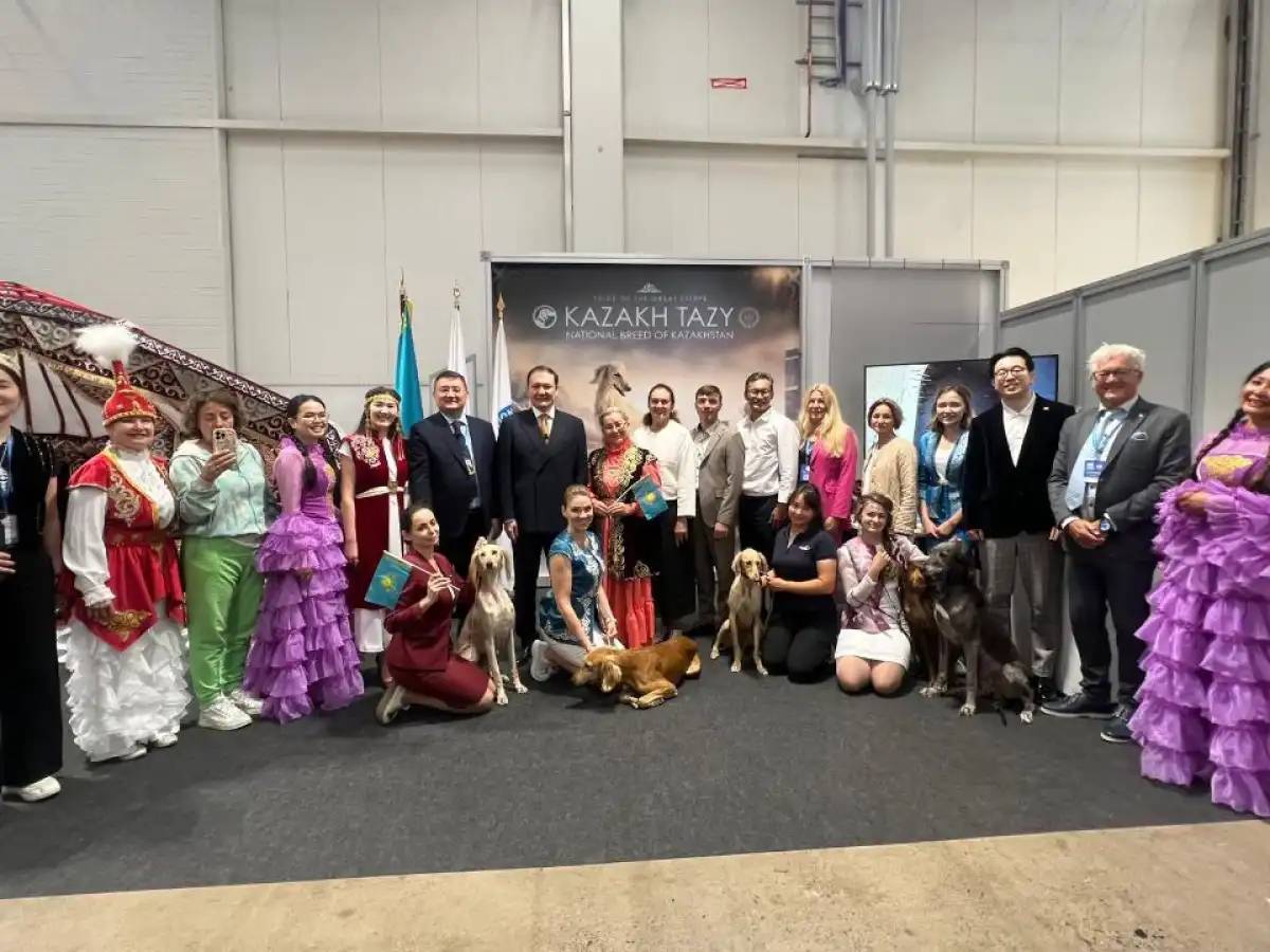 Қазақ тазысы алғаш рет Дүниежүзілік иттер көрмесінде таныстырылды