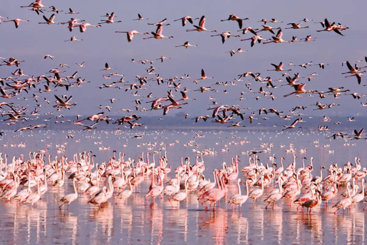 Қазақстанда туристер ең аз баратын ТОП-5 ерекше бағыт