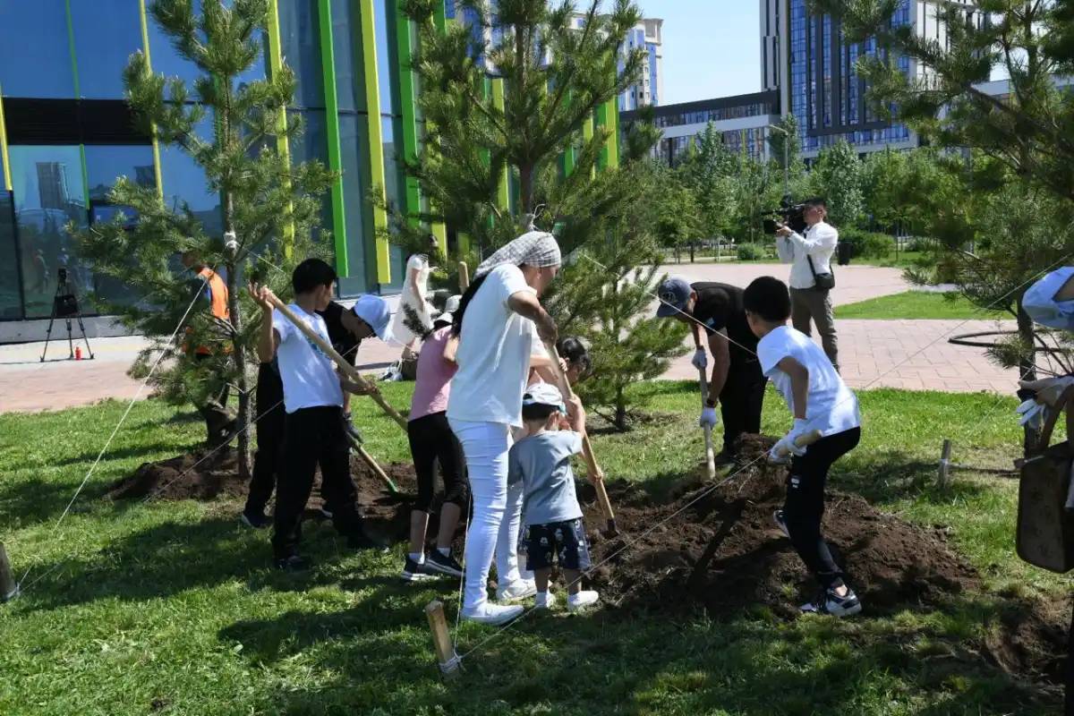 Елімізде республикалық «Отбасы ағашы» акциясы өтті