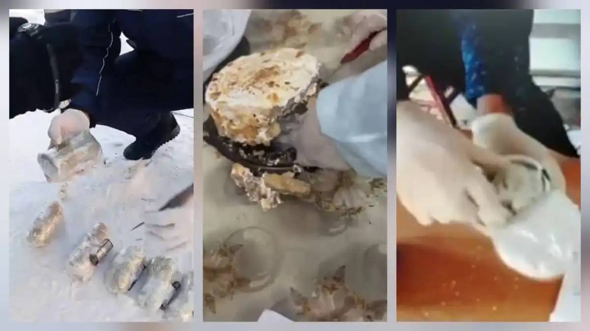 Алматылық адвокат колонияға тыйым салынған затты кіргізуге тырысқан