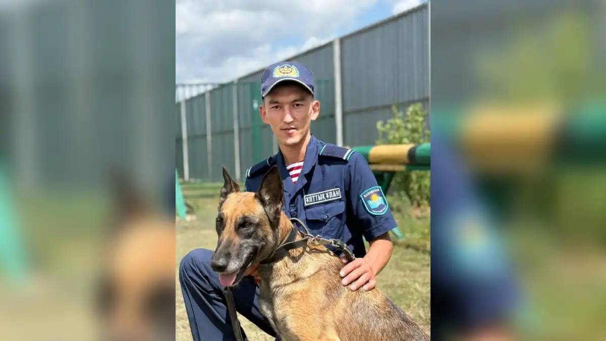 Ұлттық ұланның кинологі Астанада ер адамды құтқарып қалды
