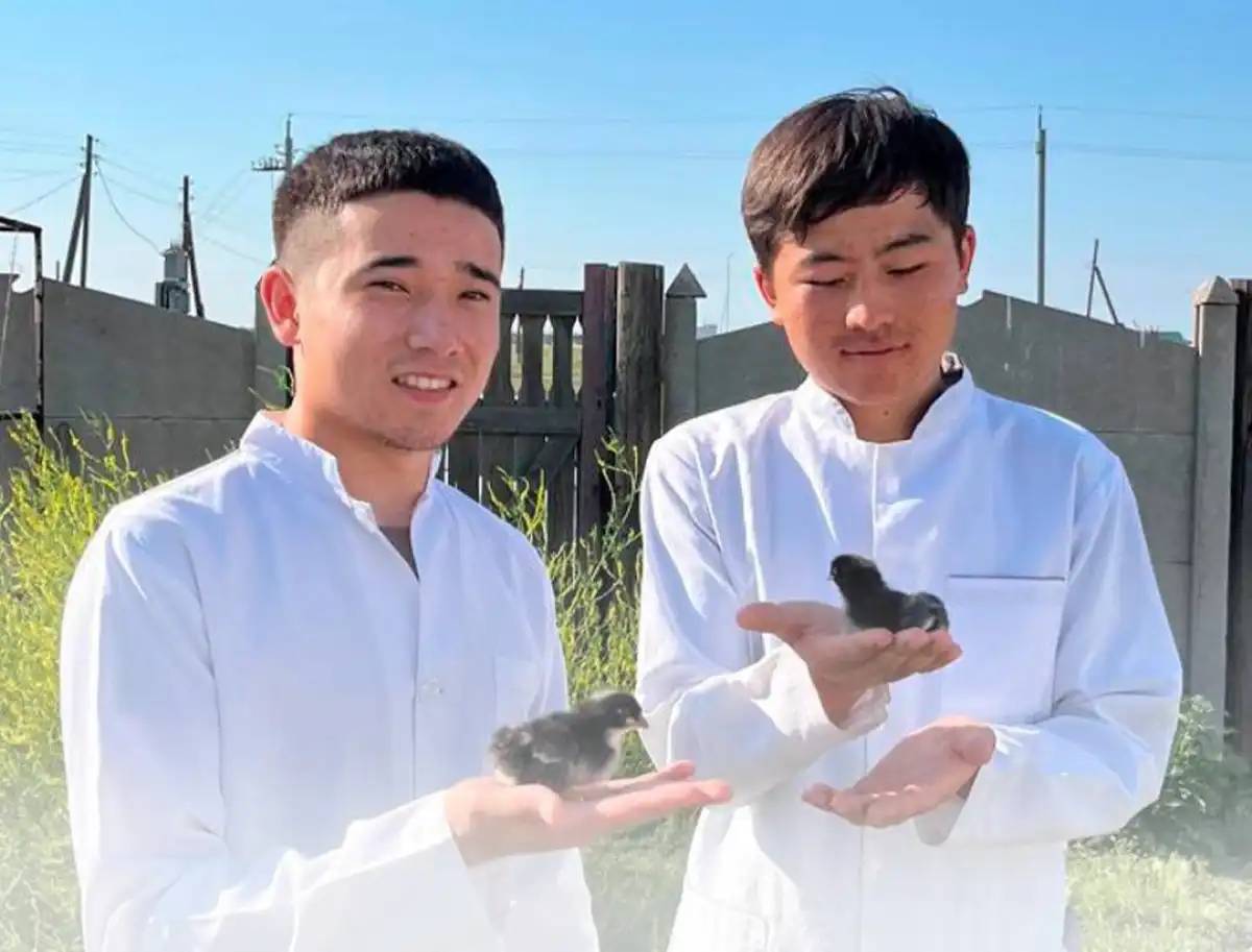 Студенттер сирек кездесетін құс тұқымдарын өсіреді