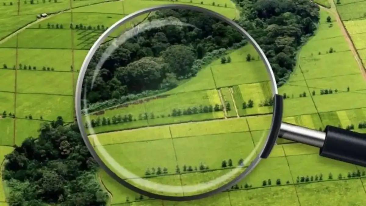 Жетісу облысында 100 миллион теңгенің жері мемлекет меншігіне қайтарылды