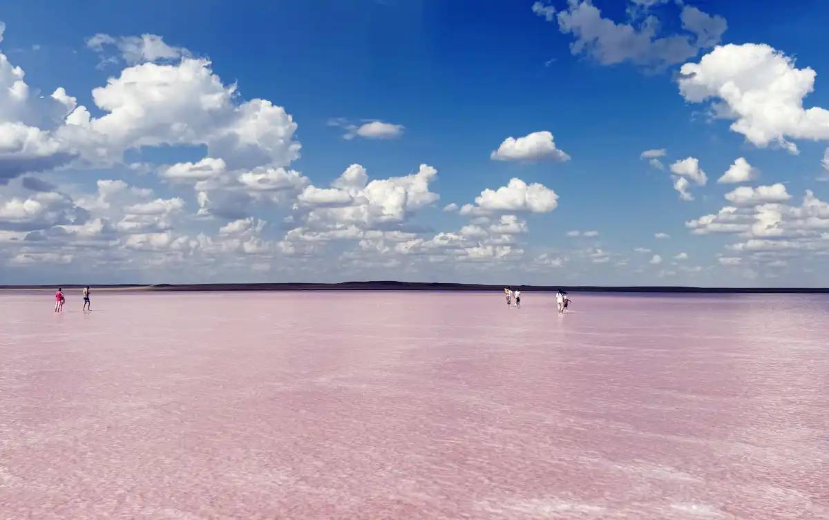 Ақмола облысындағы Көбейтұз көлін полиция қайта бақылауға алды