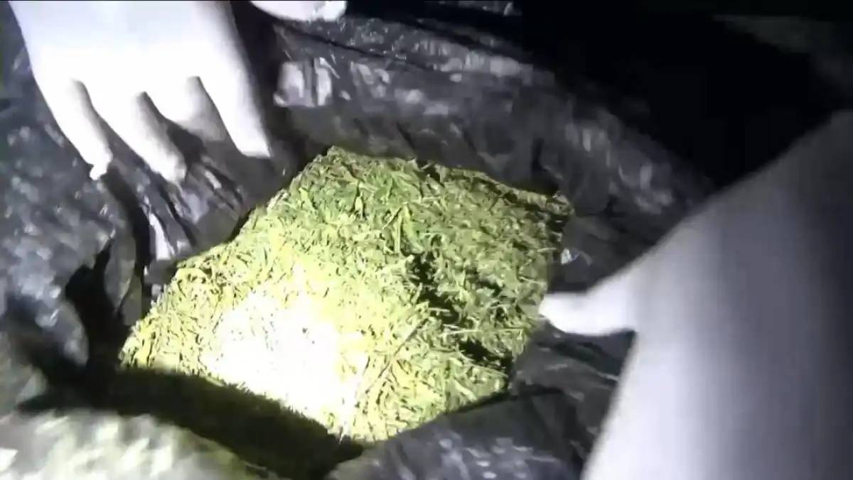 Жамбыл облысында ірі көлемде есірткі сақтаған тұрғын ұсталды