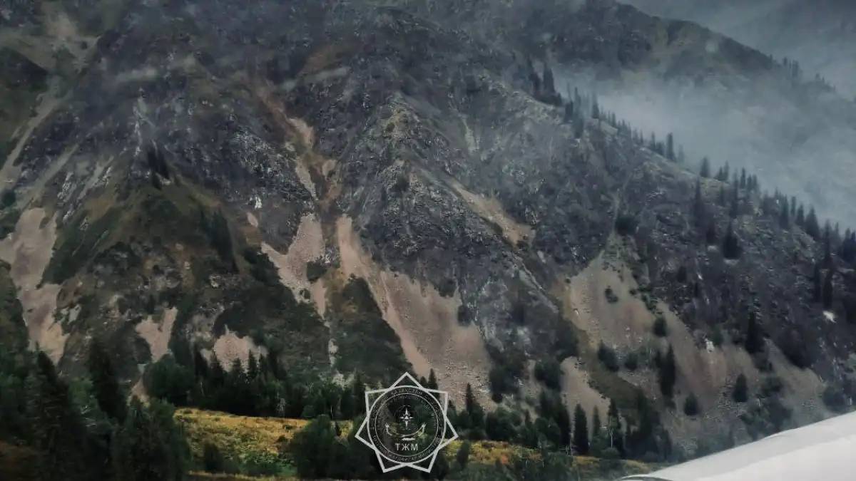 Жетісу облысындағы орман өрті өшірілді (ВИДЕО)