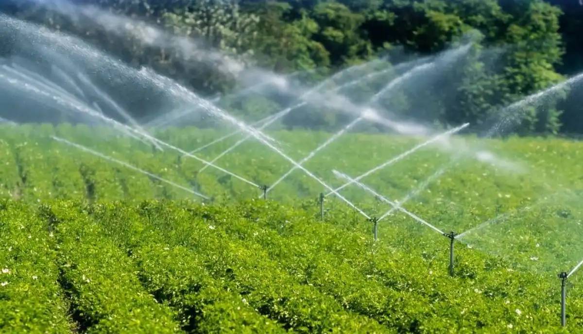 Биыл оңтүстіктегі диқандарға су былтырғыдан 335 млн текше метрге артық берілді