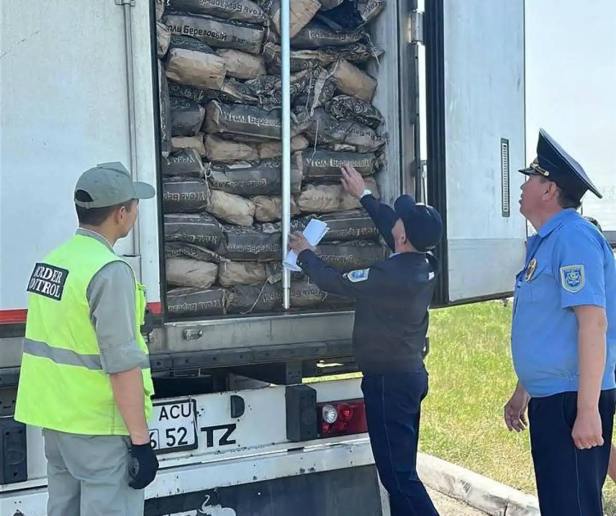 Атырауға Самарадан заңсыз жұмыртқа әкелу тоқтатылды