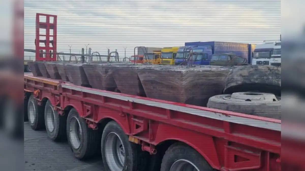 Шетелге стратегиялық маңызды шикізатты заңсыз әкету әрекеттері тоқтатылды