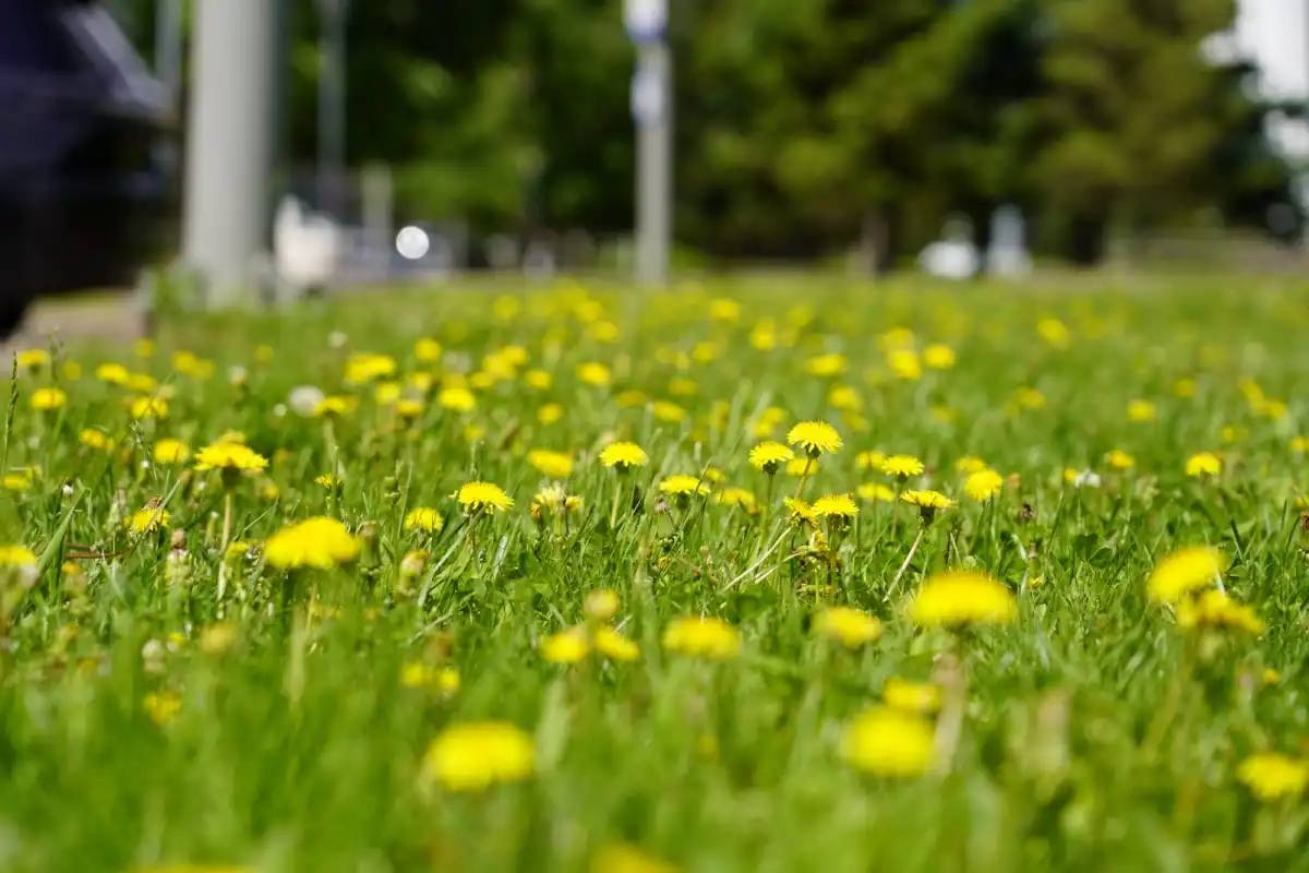 Маусым айында ауа райы қандай болады