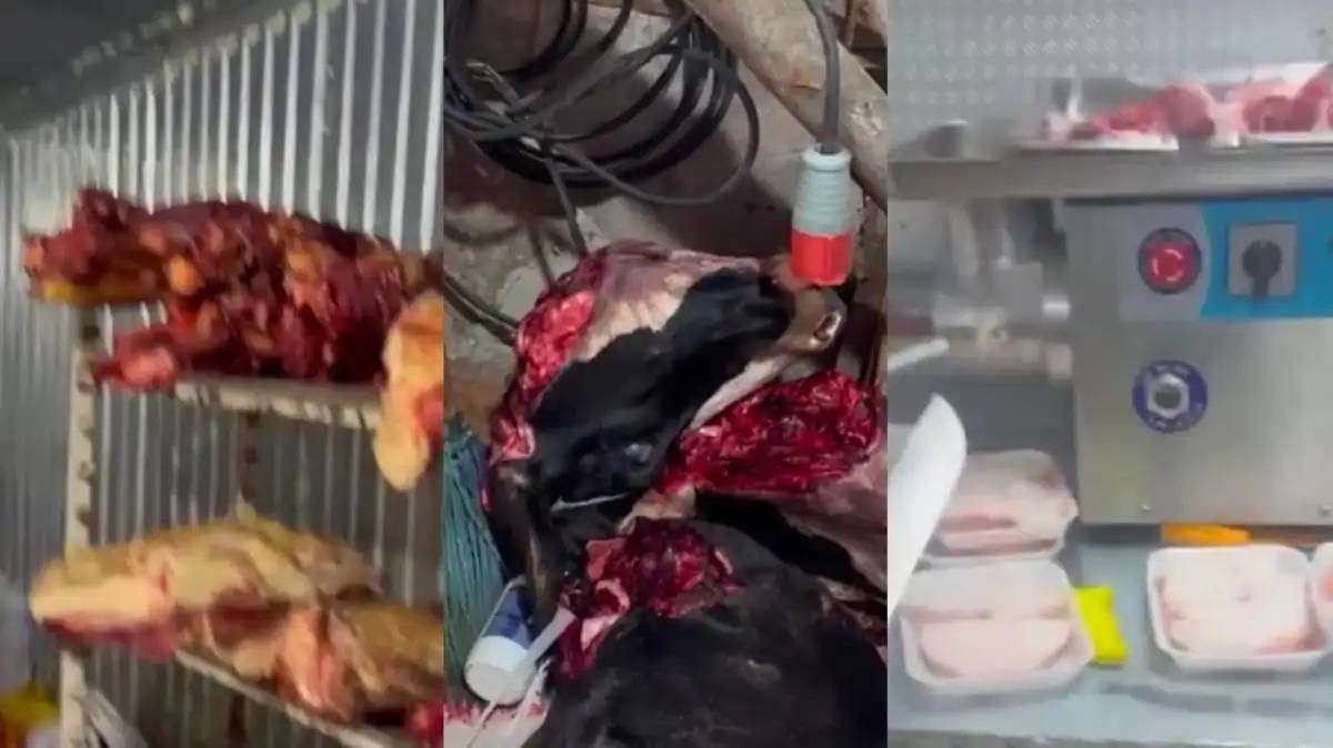 Елордада жасырын ет цехтары анықталды