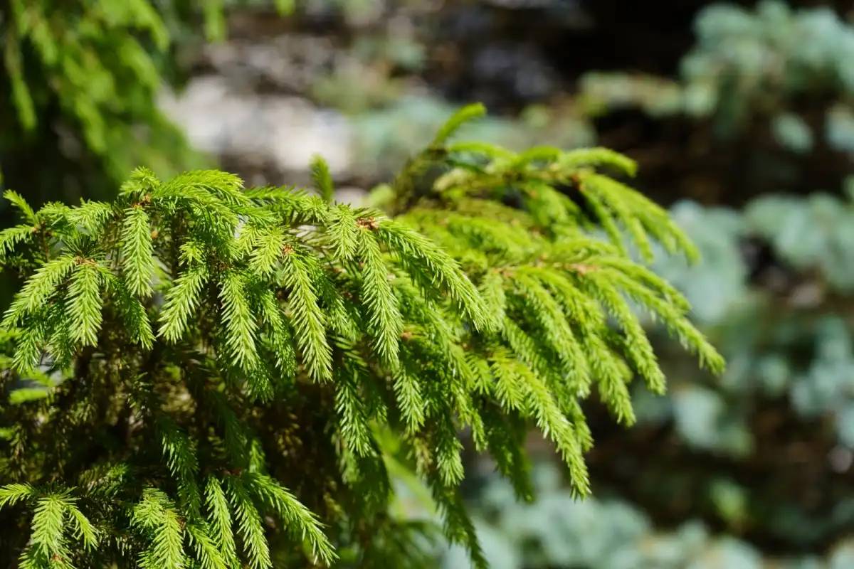 Елімізде алдағы күндері күн суытады