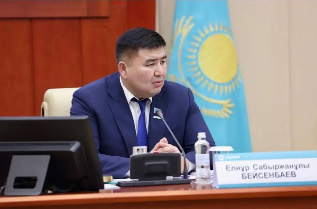 Елнұр Бейсенбаев: Президент қоғамдағы барлық мәселеге ашық әрі нақты жауап берді