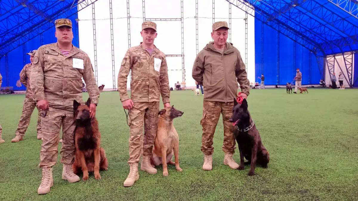 «Көктемгі кездесулер-2025»: Халықаралық иттер көрмесі өтті