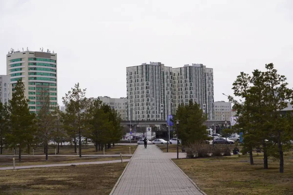 Астанада ағаштарды цифрландыру не үшін қажет