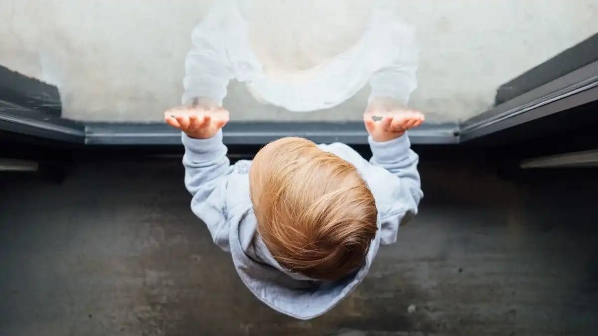 ТЖМ балалардың терезеден құлауының алдын алатын шараларды айтты