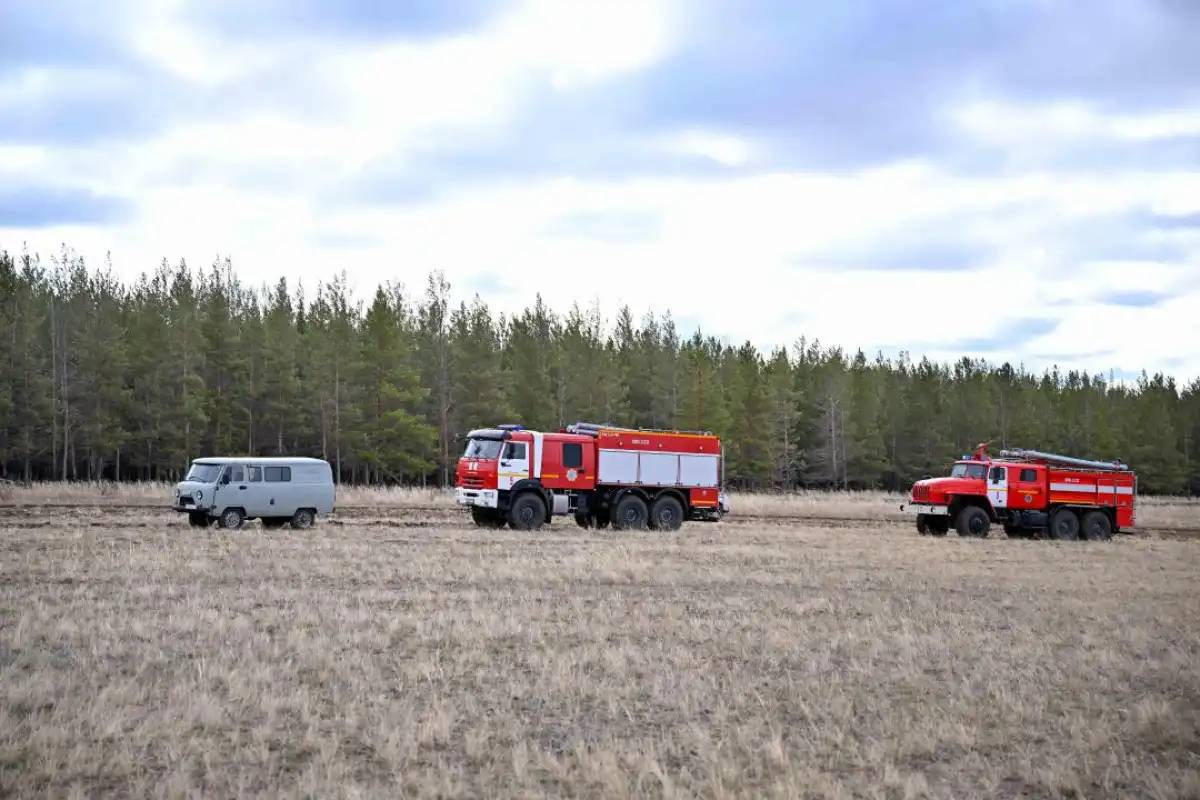 Абай облысындағы өрттен 400 гектар орман алқабы жанып кеткен