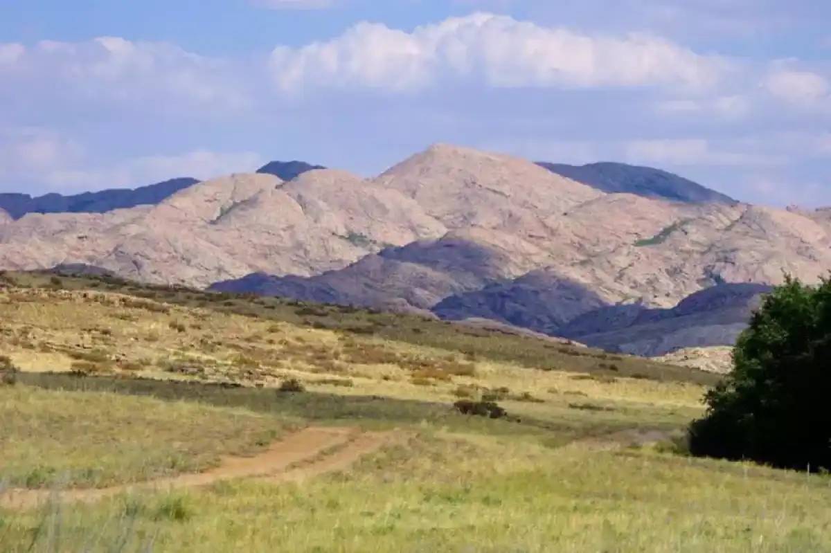 Құны 147 млн теңгеден асатын жер мемлекет меншігіне қайтарылды