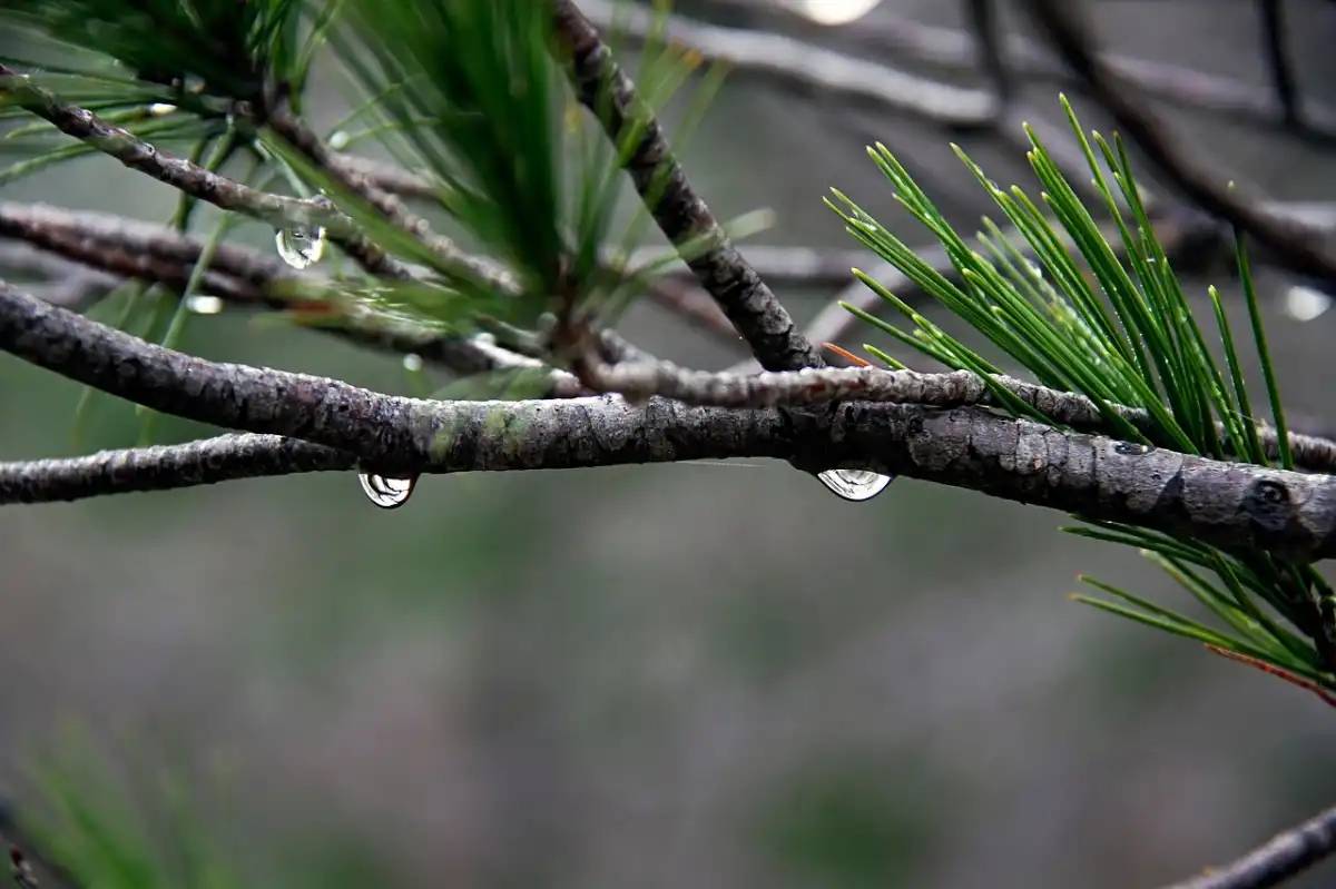 Елімізде күн күрт суытады – Қазгидромет