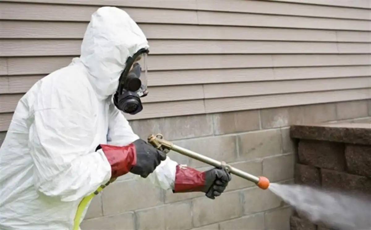 Елордада дератизация жұмысы екі маусымда жүргізіледі