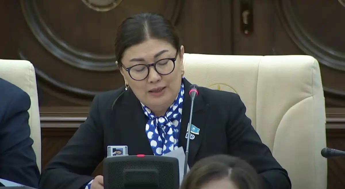 Креативті индустрияға салықтық режимді күшейту жаңа жобалар санын қысқартуы мүмкін – депутат