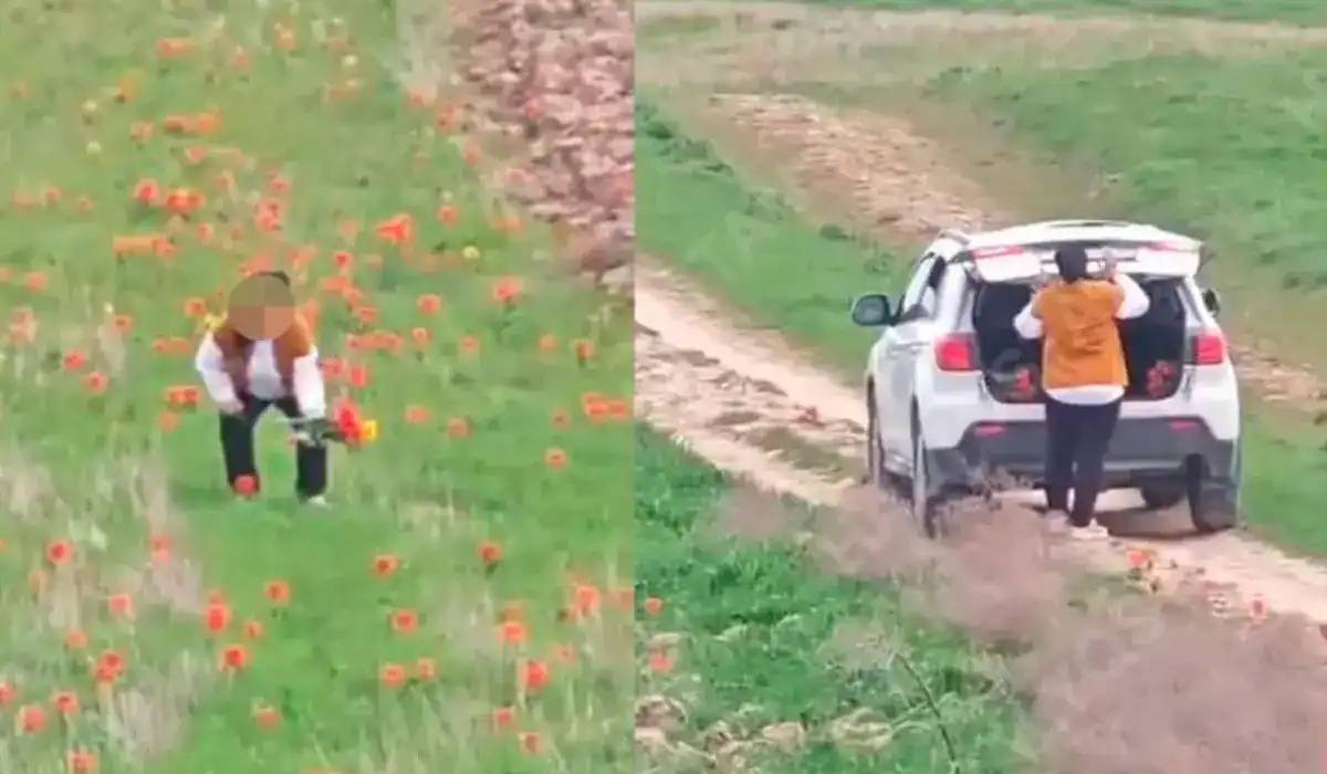 Желіде 12 млн теңгенің қызғалдағын жұлған әйелдің видеосы тарады