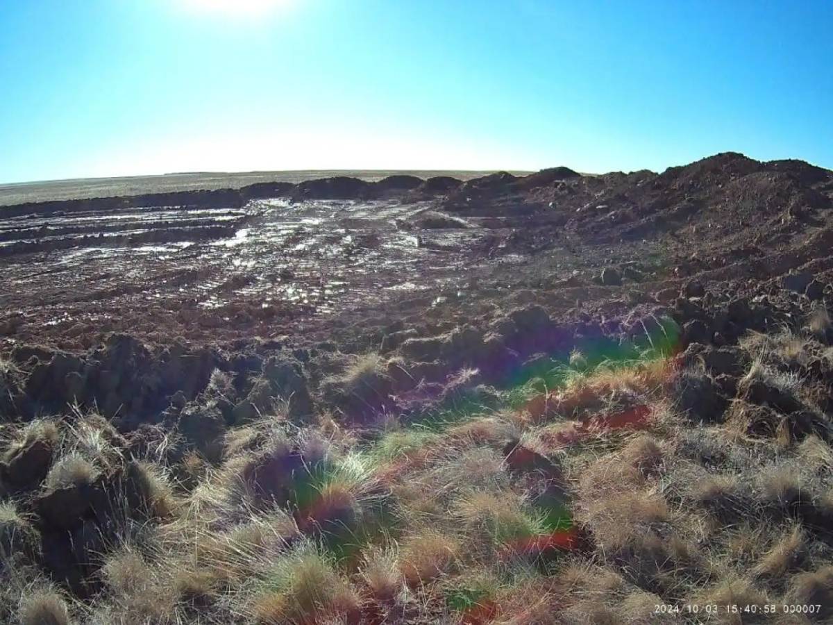 Қостанай облысында компания алтынды заңсыз өндірген