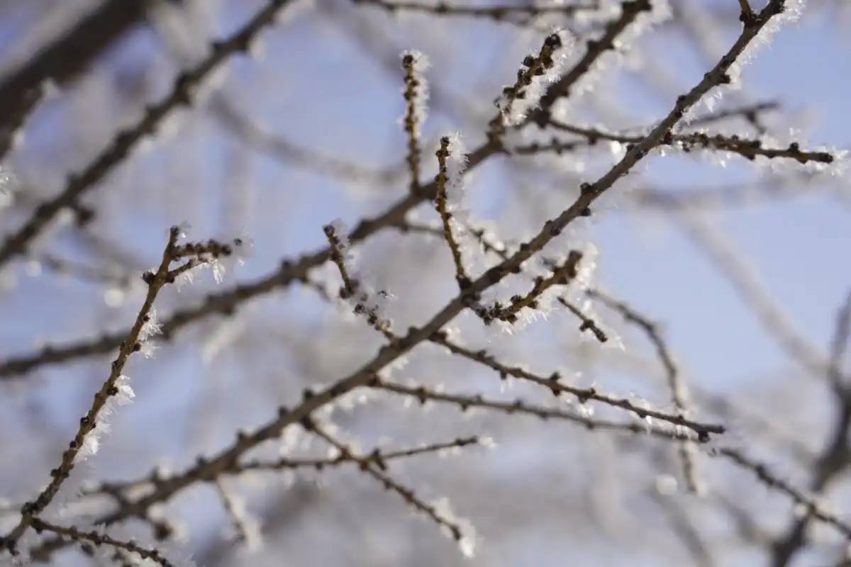 «Қар аралас жаңбыр»: еліміздің барлық өңірінде күн суытады