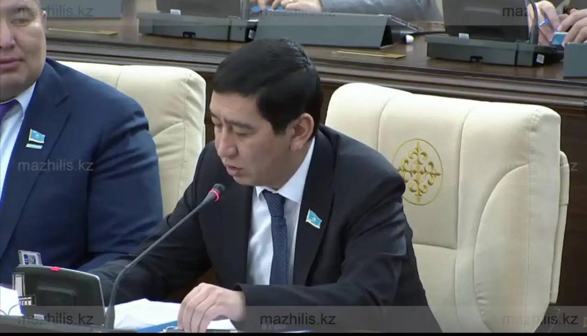 Бір-екі бағдарлама ауылдарды гүлдендіре алмайды – депутат