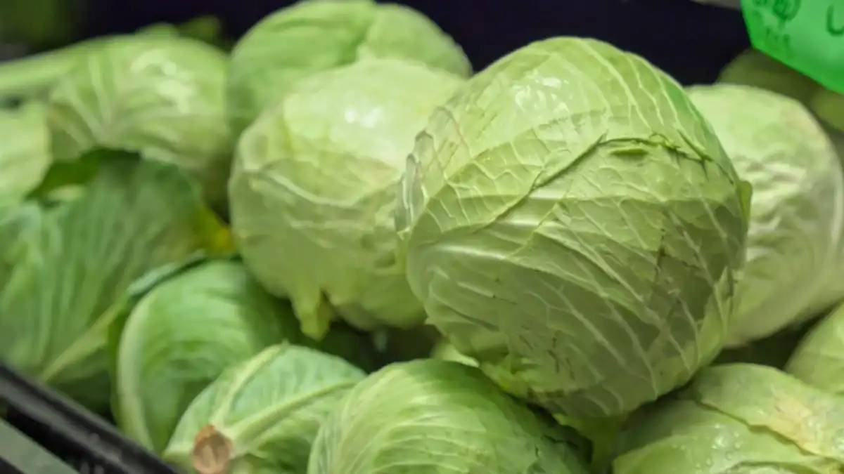 Шекарада ерте пісетін көкөністерге арналған «жасыл дәліз» ашылады