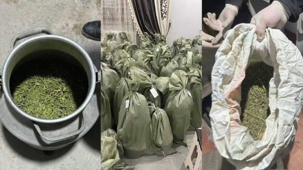 Қызылорда облысында заңсыз айналымнан 87 келіге жуық есірткі тәркіленді