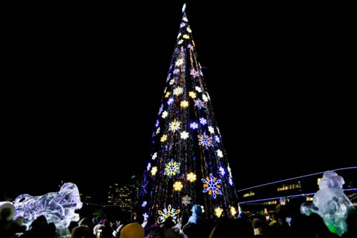 Шымкенттегі бас шырша өртенді (ВИДЕО)